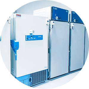 Freezers & Refrigerators